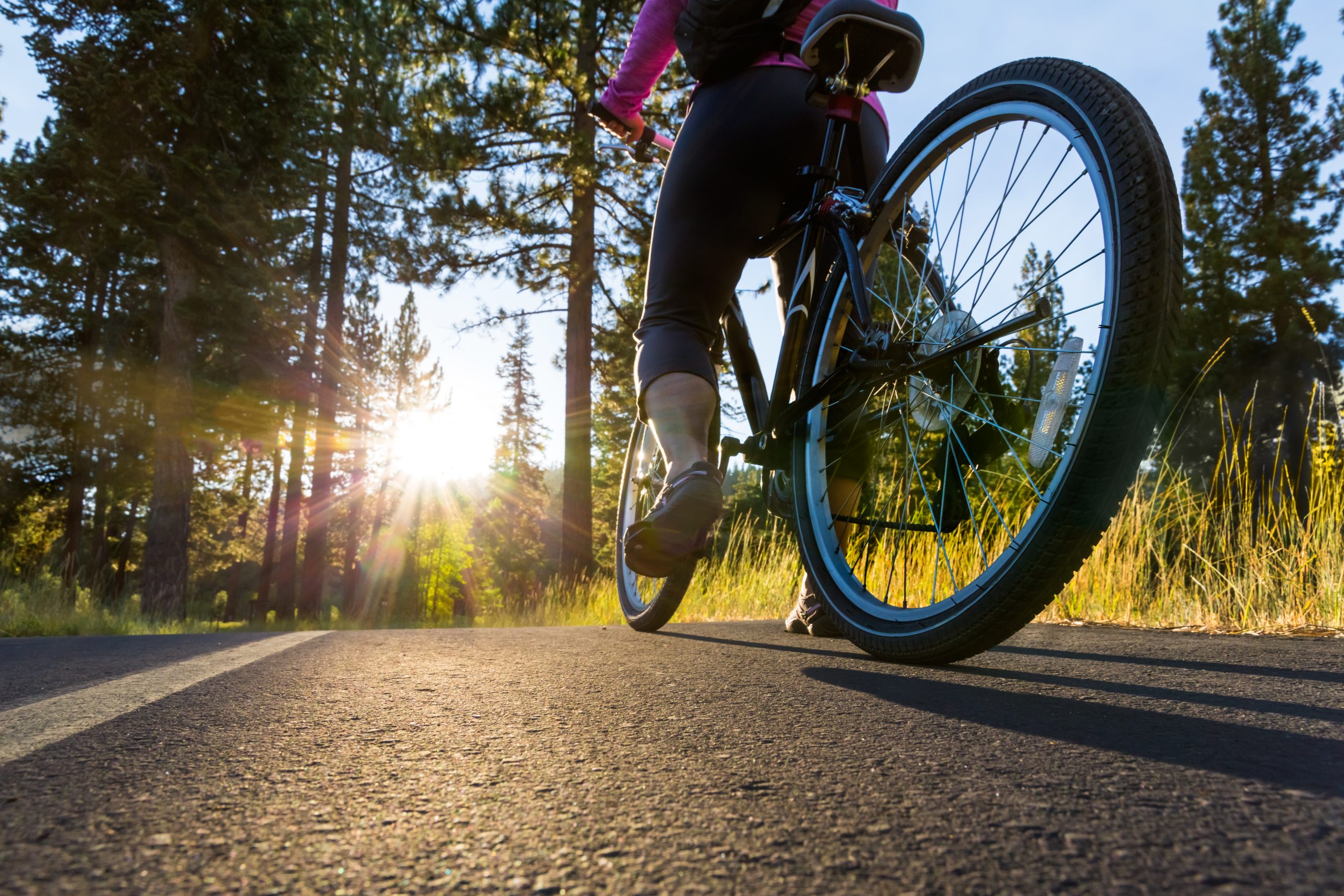 Fahrrad vor malerischer Schwarzwaldkulisse mit grünen Wäldern